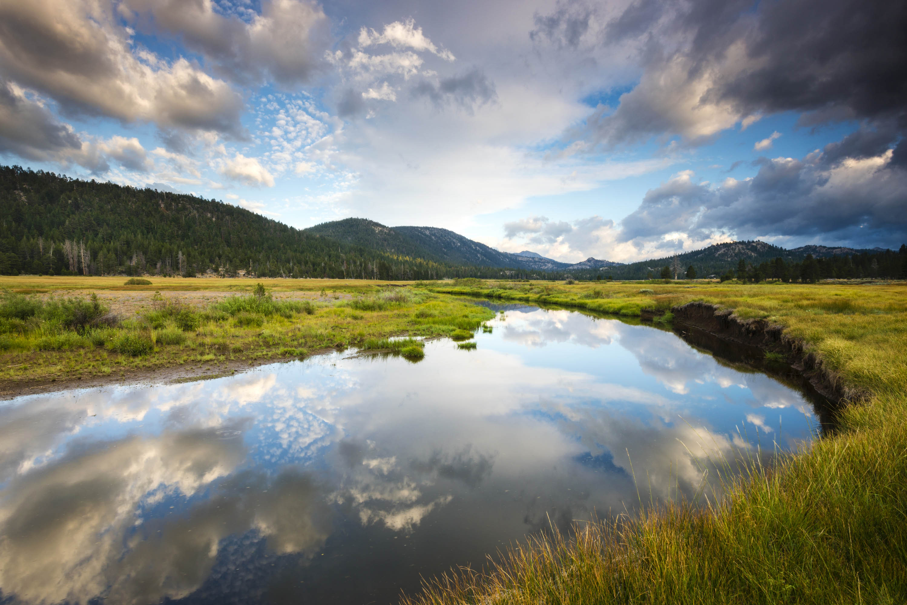 West Fork of the Carson River reflecting clouds overhead in Hope Valley, California.