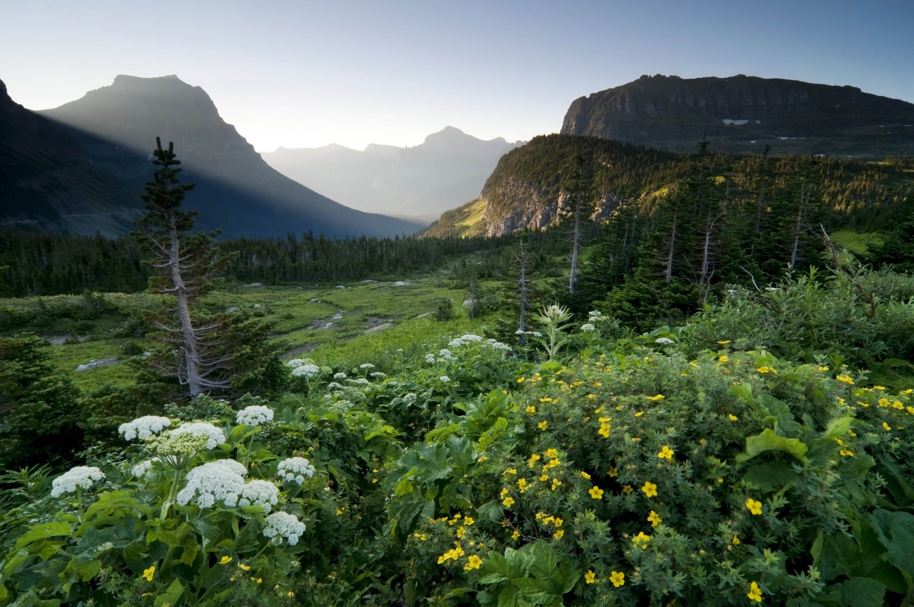 Logan Pass at sunrise in Glacier National Park along the Going-to-the-Sun Road.