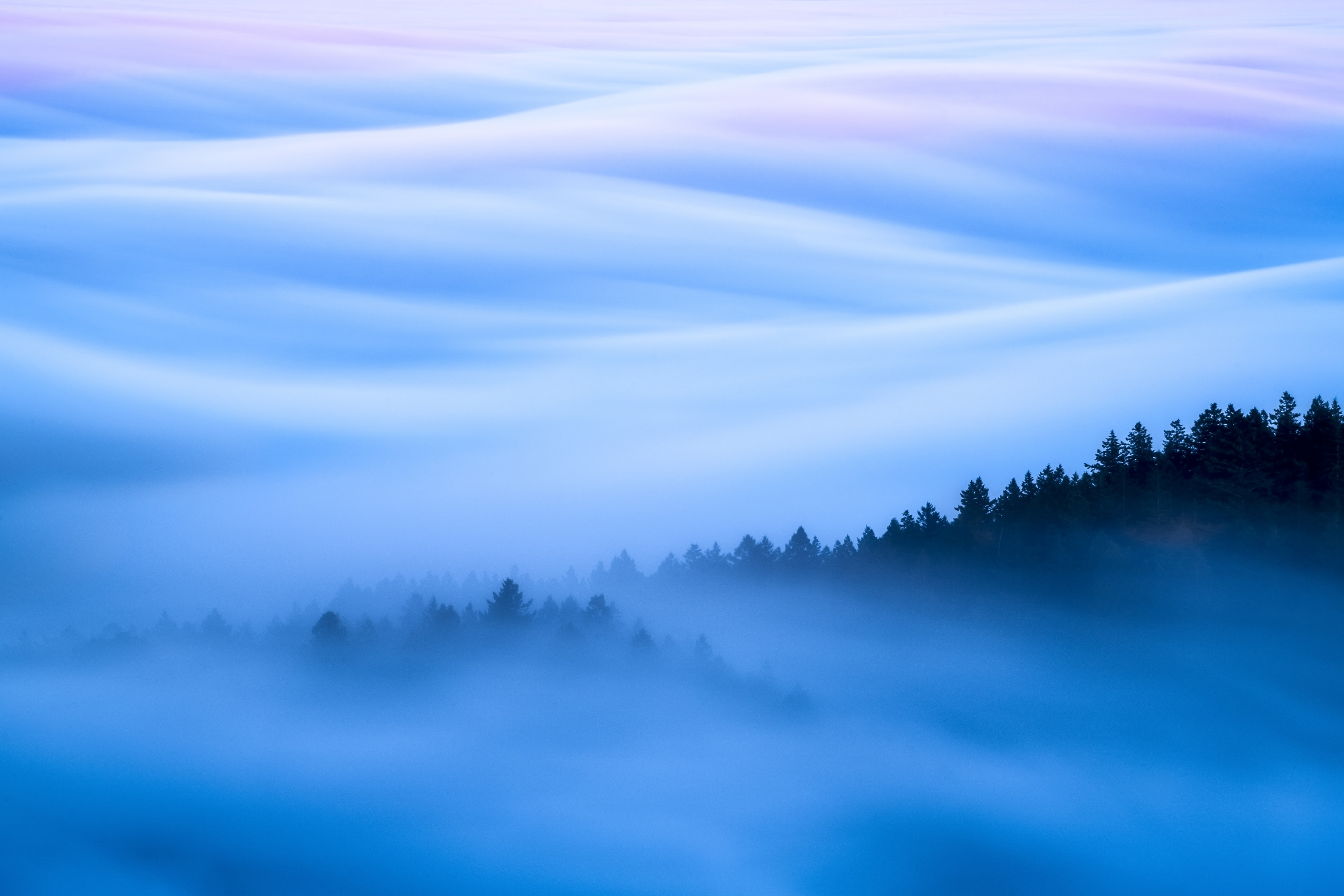 Fog waves blanket San Francisco at sunset from Mount Tamalpais State Park, California.