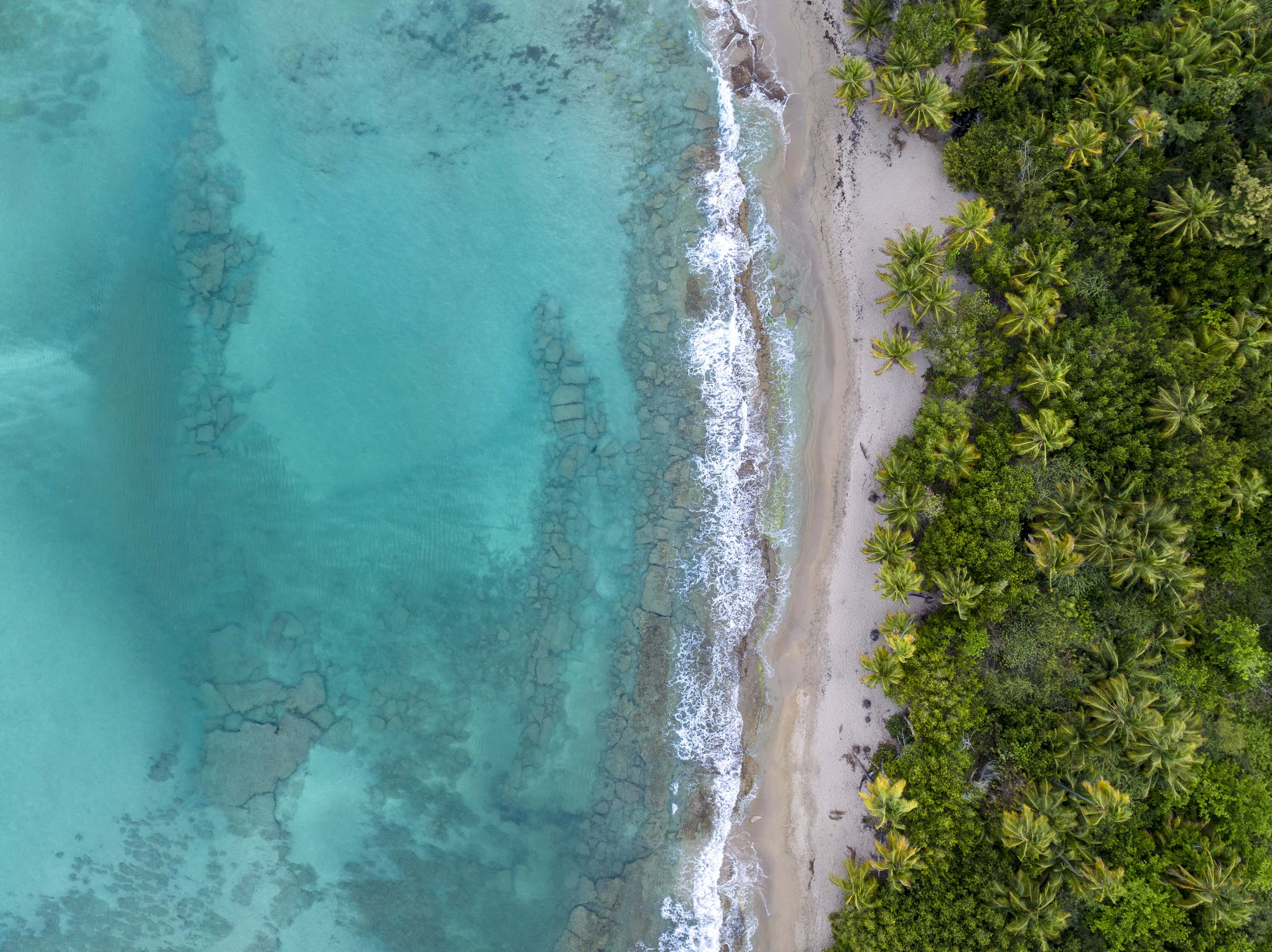 Turquoise waters crash onto the sandy shores near Vieques, Puerto Rico. 
