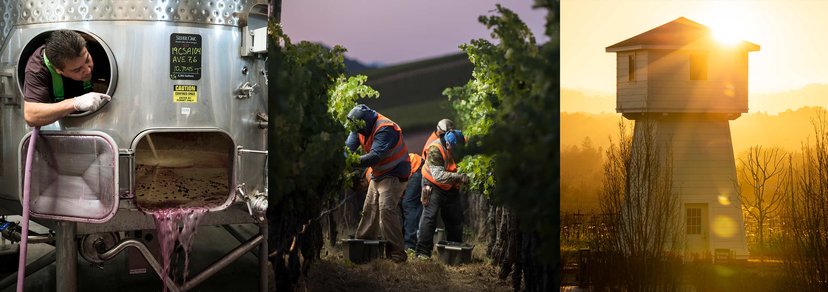Silver Oak workers harvest grapes and prepare equipment for winemaking