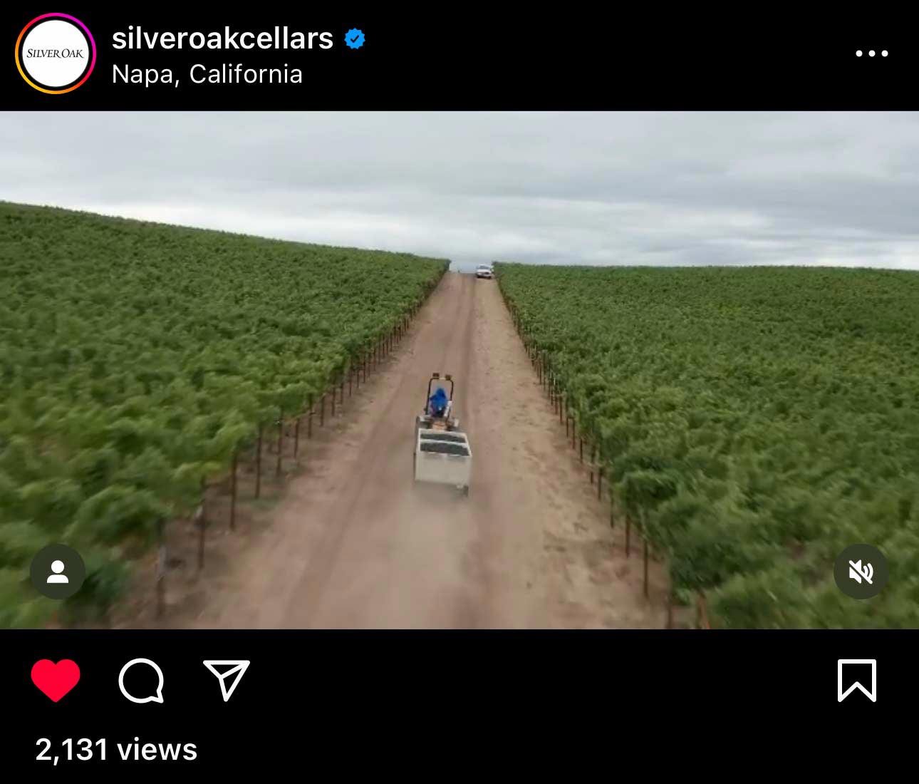 Tractor carrying grapes during harvest for Silver Oak Cellars on Instagram.