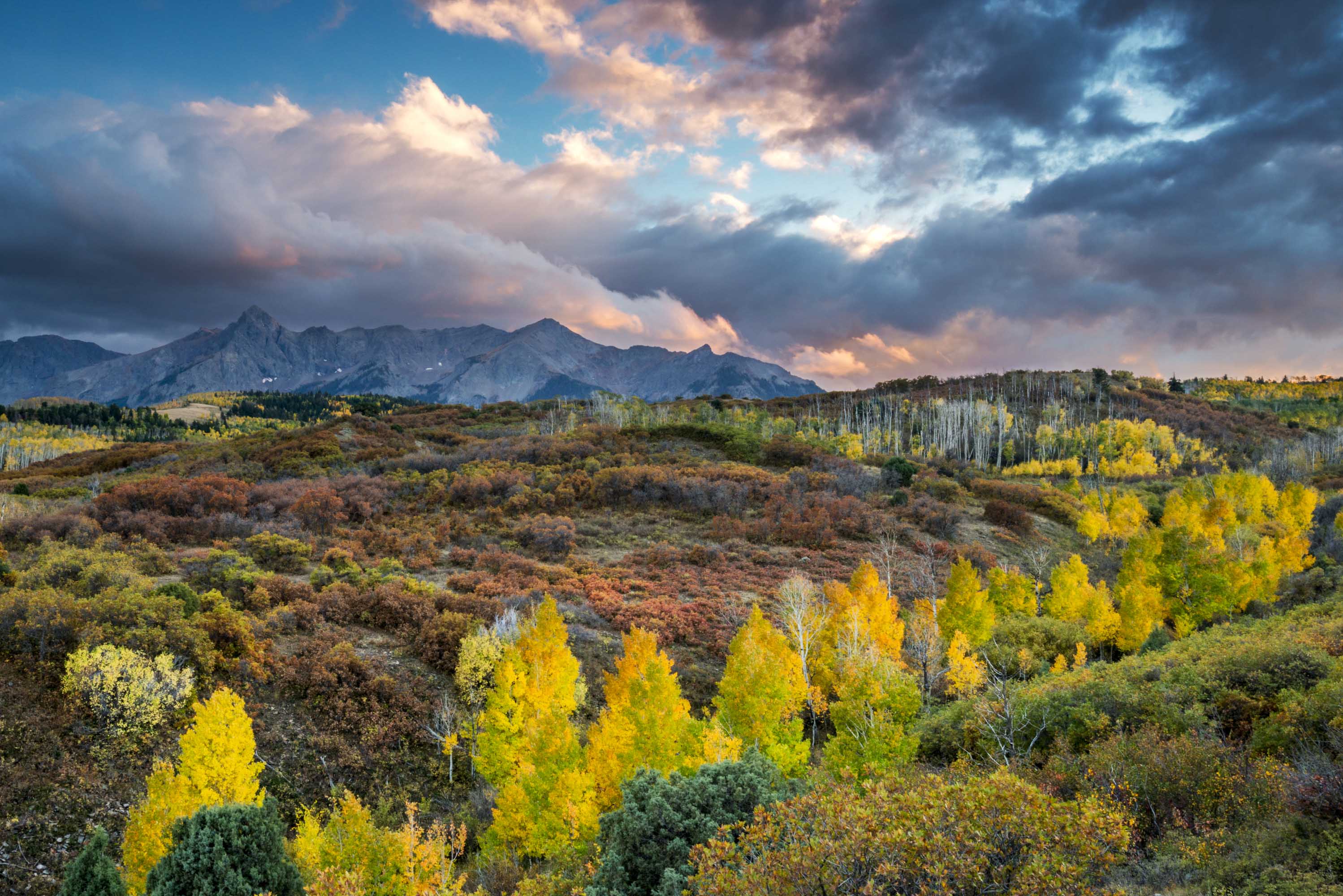 Fall foliage in the Sneffels Range viewed from Dallas Divide, Colorado.